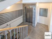  – Nt ekspertai be procentų - nuotraukos Nr. 25