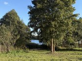 Parduodamas 60 Arų Sklypas Prie Asono Ežero – - nuotraukos Nr. 6