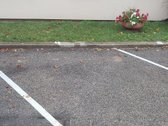 # ? Išnuomojamas Erdvus 46 Kv. M Butas Šalia - nuotraukos Nr. 19