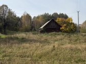 Parduodama jauki sodyba gamtos apsuptyje - nuotraukos Nr. 3