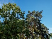 Parduodamas Jaukus 3 Kambarių Butas - nuotraukos Nr. 36