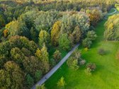 Parduodamas Ypatingai Šviesus Ir Jaukus 3 - nuotraukos Nr. 10