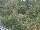 Parduodamas Erdvus Neįrengtas Butas - nuotraukos Nr. 2