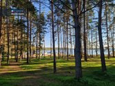 Parduodamas Veikiantis Svečių Namų Verslas - nuotraukos Nr. 39