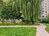 2 Kambarių Butas Žalumos Apsuptyje – Šalia - nuotraukos Nr. 2