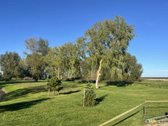 Parduodamas sklypas su visomis miesto - nuotraukos Nr. 2