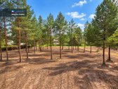 Parduodamas 8 Sklypų Masyvas Vienbučių Ir - nuotraukos Nr. 10