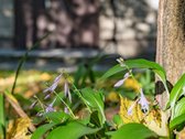 Moderniai Ir Kokybiškai Įrengtas 3 Kambarių - nuotraukos Nr. 28