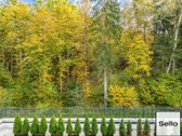  – Nt ekspertai be procentų - nuotraukos Nr. 8