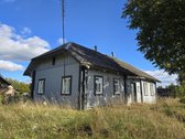 Labanoro parko prieigose, visiškai arti - nuotraukos Nr. 10