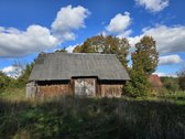 Labanoro parko prieigose, visiškai arti - nuotraukos Nr. 12