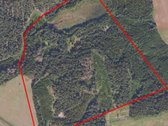  Parduodamas 22,5135 ha įvairiamžis miškas - nuotraukos Nr. 2