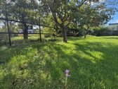 Jūsų Asmeninis Ramybės Oazės Kampelis - nuotraukos Nr. 22