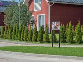 3 Kambarių Butas Šventojoje – Gyvenimui Ir - nuotraukos Nr. 34