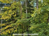 Alternatyva Butui - Nuosavas Namas - nuotraukos Nr. 3