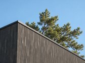 167 m² namas su 7 arų sklypu – daugiau vietos - nuotraukos Nr. 3