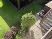 Parduodamas erdvus namas su komercinėmis - nuotraukos Nr. 46