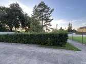Prie Volvo - garažas (gamybinės-sandėliavimo) - nuotraukos Nr. 20