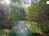 Išskirtinė Sodyba Ramybės Oazėje Vilniaus R., - nuotraukos Nr. 15
