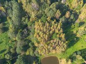 Išskirtinė Sodyba Ramybės Oazėje Vilniaus R., - nuotraukos Nr. 35
