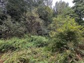 Parduodamas 9,1 Aro Sklypas Vilniuje, - nuotraukos Nr. 3