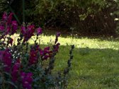 Parduodamas Namas Su Erdviu 31,75 A Sklypu - nuotraukos Nr. 7
