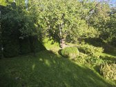 Jonavos r. sav., Pašilių k. - nuotraukos Nr. 13