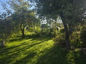 Jonavos r. sav., Pašilių k. - nuotraukos Nr. 23