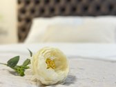 Parduodamas kapitaliai suremontuotas 3 - nuotraukos Nr. 5