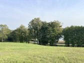 Parduodamas 65.37 arų namų valdos sklypas - nuotraukos Nr. 4