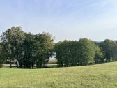 Parduodamas 65.37 arų namų valdos sklypas - nuotraukos Nr. 5