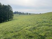 Parduodamas 65.37 arų namų valdos sklypas - nuotraukos Nr. 7