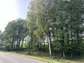 Parduodamas 65.37 arų namų valdos sklypas - nuotraukos Nr. 11