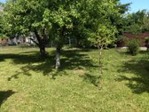 Klaipėdos r. sav., Derceklių k. - nuotraukos Nr. 4