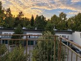 Nuomojamas erdvus ir šviesus 1 kambario butas - nuotraukos Nr. 16