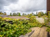 Vilniaus Raj. Marijampolio Sen. Terešiškių K. - nuotraukos Nr. 22