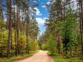 Vilniaus Raj. Marijampolio Sen. Terešiškių K. - nuotraukos Nr. 33