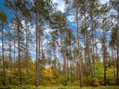 Vilniaus Raj. Marijampolio Sen. Terešiškių K. - nuotraukos Nr. 34