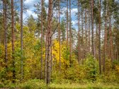 Vilniaus Raj. Marijampolio Sen. Terešiškių K. - nuotraukos Nr. 35