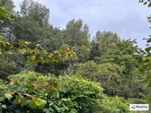 Parduodamas 9,1 Aro Sklypas Vilniuje, - nuotraukos Nr. 6