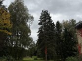 Parduodamas Namas Išskirtinėje Vietoje - - nuotraukos Nr. 10