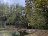 Parduodamas Namas Išskirtinėje Vietoje - - nuotraukos Nr. 12