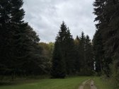 Parduodamas Namas Išskirtinėje Vietoje - - nuotraukos Nr. 15