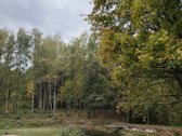 Parduodamas Namas Išskirtinėje Vietoje - - nuotraukos Nr. 16