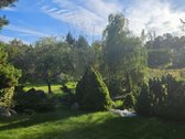 Didelis sklypas.aplink nuostabi gamta, daug - nuotraukos Nr. 17