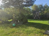Didelis sklypas.aplink nuostabi gamta, daug - nuotraukos Nr. 19