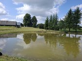 Parduodamas 5,5h sklypas su namu vos 3 km nuo - nuotraukos Nr. 5
