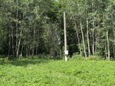 Parduodamas Namų Valdos Sklypas Su Ūkiniu - nuotraukos Nr. 7