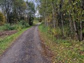 Sklypas soduose, aplinkui mažai apgyvendinta, - nuotraukos Nr. 3
