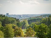 Nuomuojamas stilingai ir jaukiai įrengtas, - nuotraukos Nr. 8